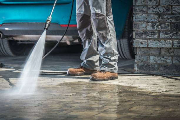 Best Animal Enclosure Cleaning  in Farmers Branch, TX